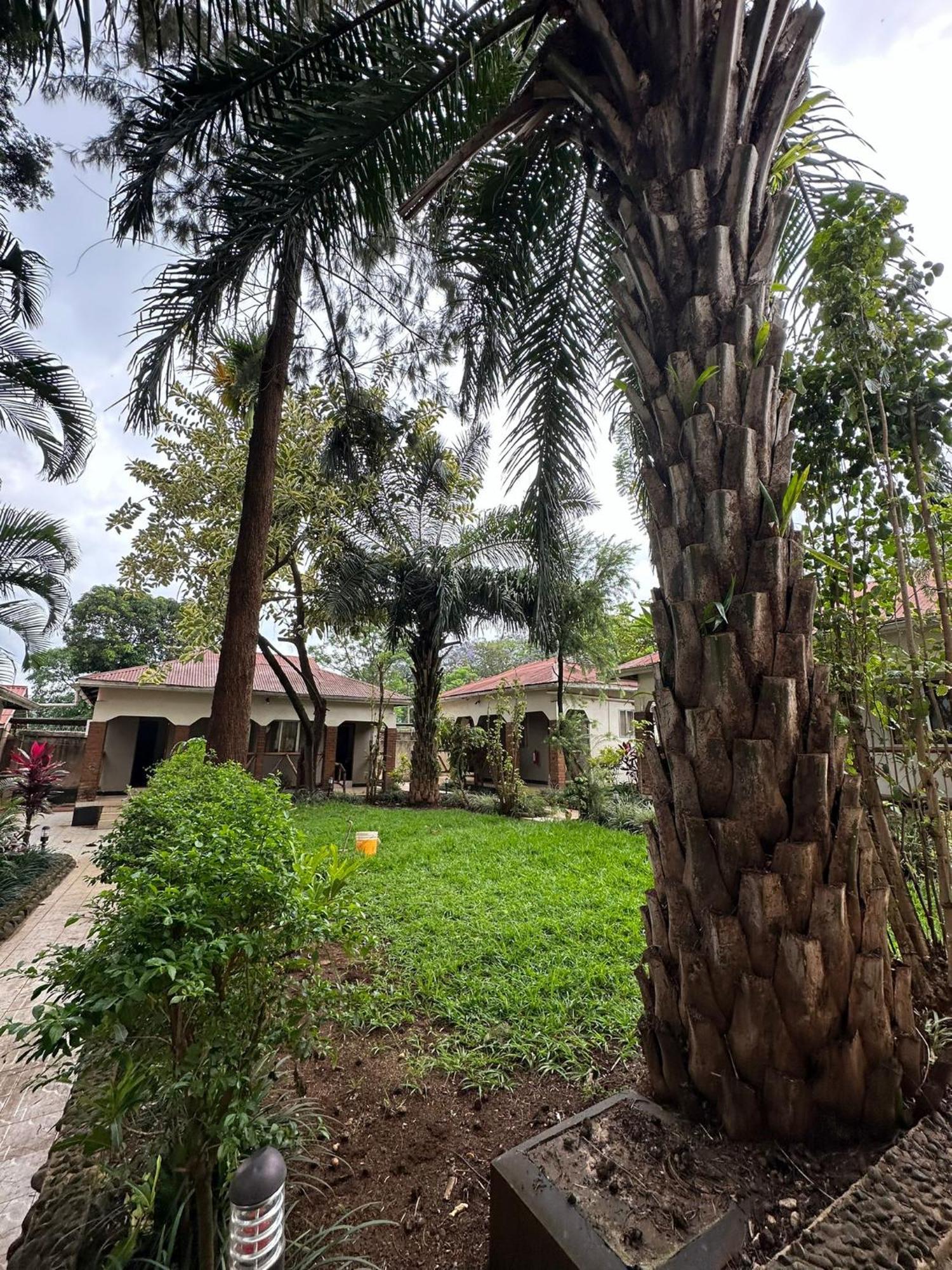 Home Feeling Neneu Lodge Moshi Buitenkant foto
